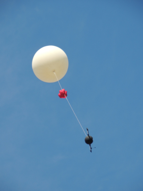 Weißer Wetterballon, roter Fallschirm und schwarze Kapsel kurz nach dem Start
